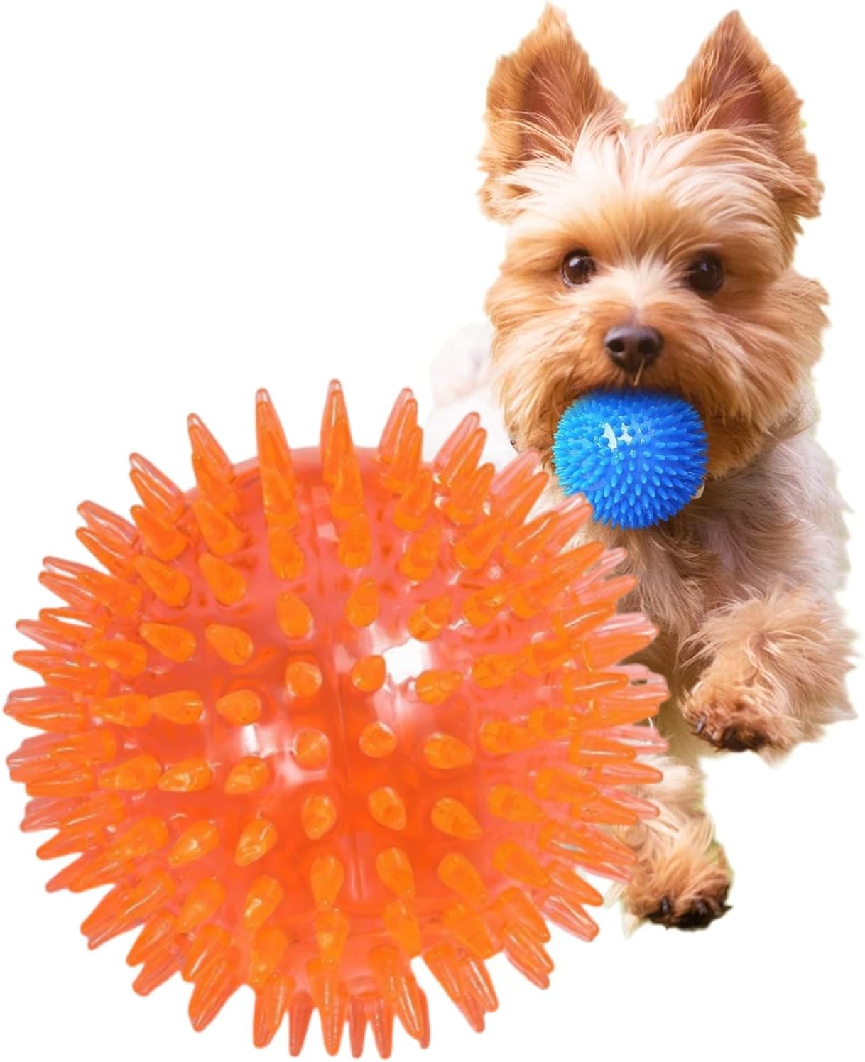 Dog Toy, Ball, Sound, Chewing Toy, Teeth Brushing, Natural Rubber, Elastic, Durable, Lack of Exercise, Stress Relief, Training, Educational Toy, Suitable for Small and Medium Dogs (Orange, Diameter 2.2 inches (5.5 cm), 1 Piece
