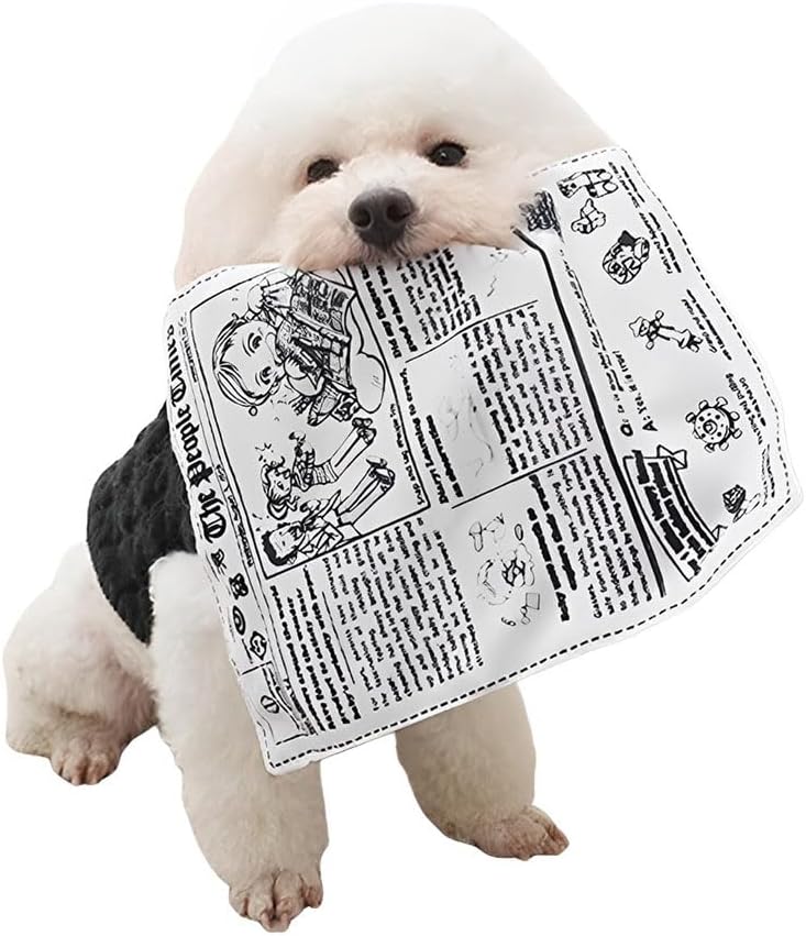 Dog Newspaper Toy, Dog Toy, Chew Toy, Sound, Educational Toy, Clean, Teeth Brushing, Durable, Chew Resistant, Washable, Stress Relief