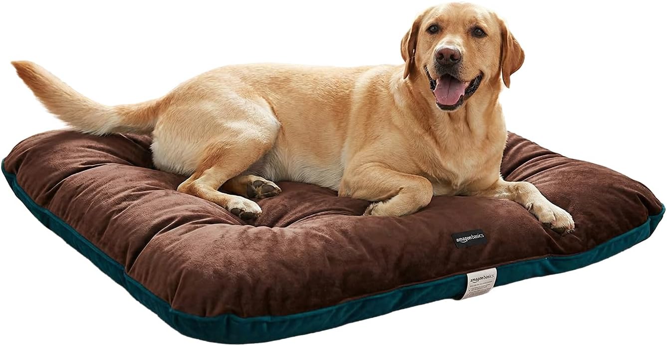 Amazon Basics Pet Bed | Large | Reversible Premium - Latest Style