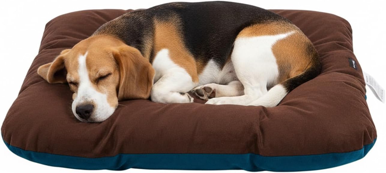 Amazon Basics Pet Bed | Medium| Reversible Premium - Top Rated