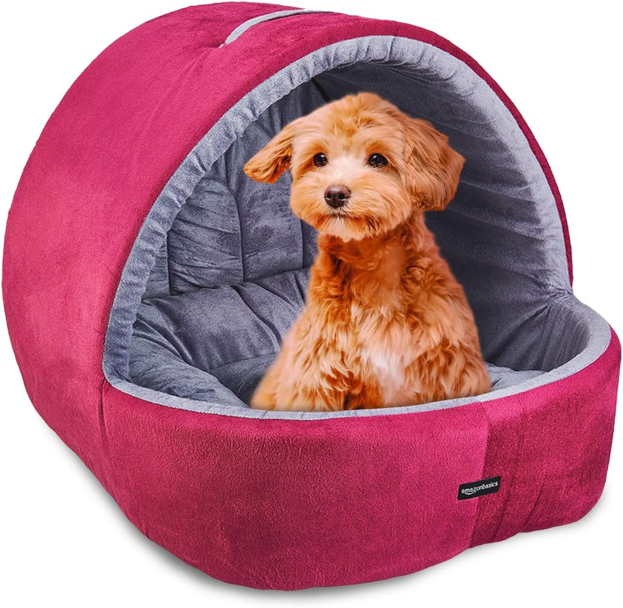 Amazon Basics Premium Soft Valvet Medium Size Dog - Latest Style