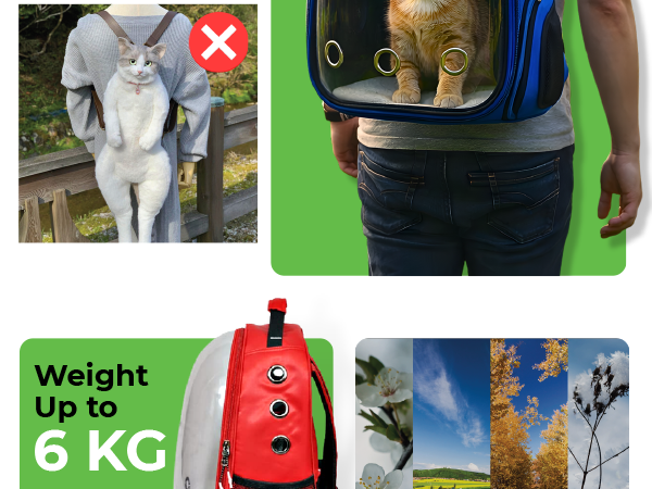 Astronaut Pro Pet Carrier Backpack (41L x 32W x 26 - Premium Quality