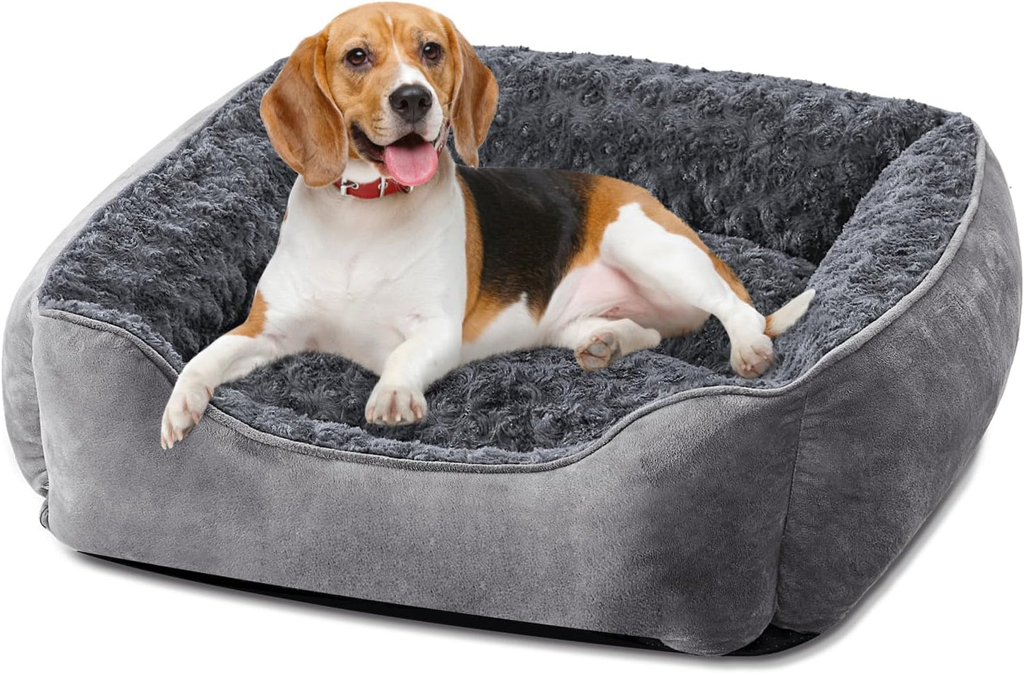 JOEJOY Dog Bed Medium - Washable Rectangle Dog Bed - Best Seller