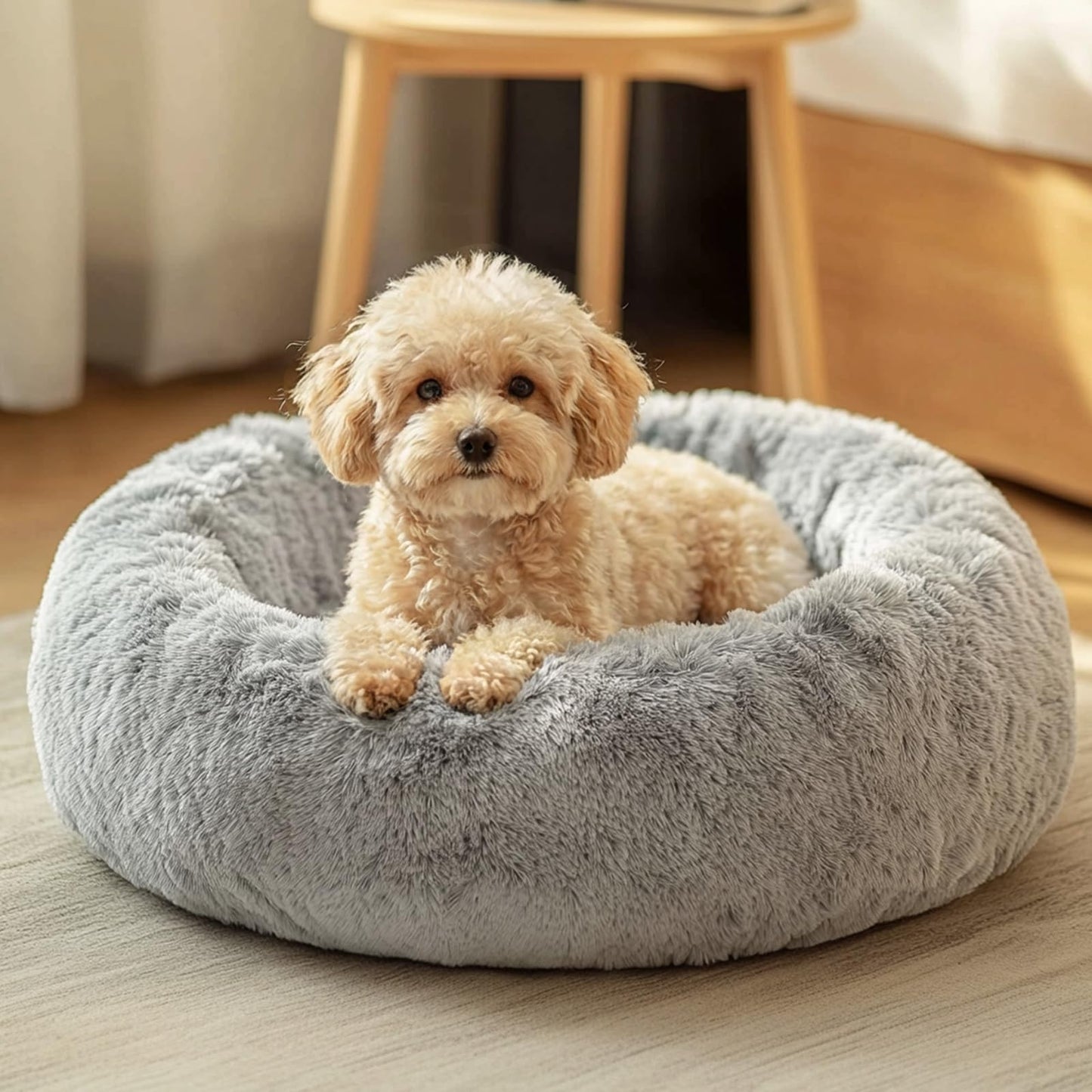 JOLLYVOGUE Small Dog Bed, Calming Dog Beds for Sma - Best Seller