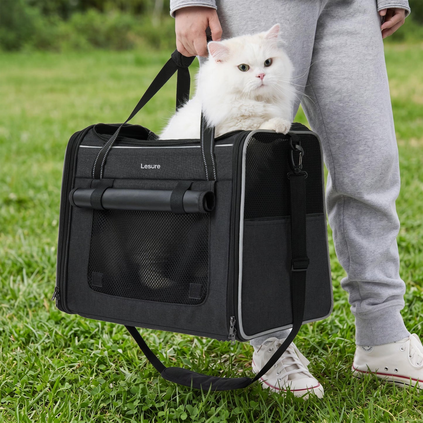Lesure Foldable Cat Carrier for Travel - Stable So - Top Rated