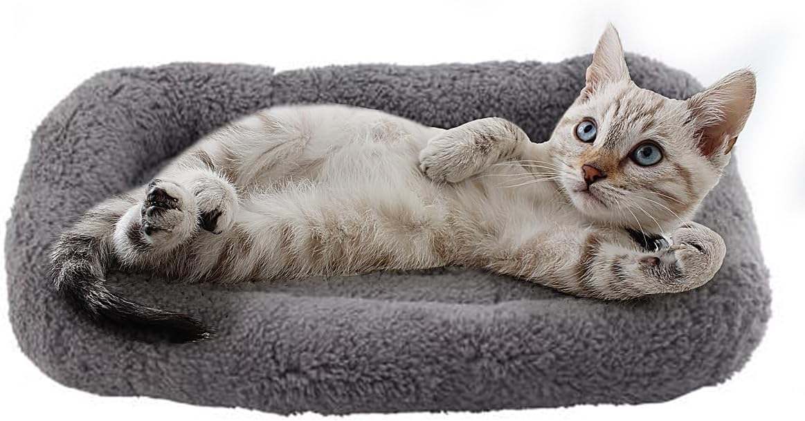 LesyPet Indoor Cat Bed, Small Cat Bed, Plush Toy C - Top Rated