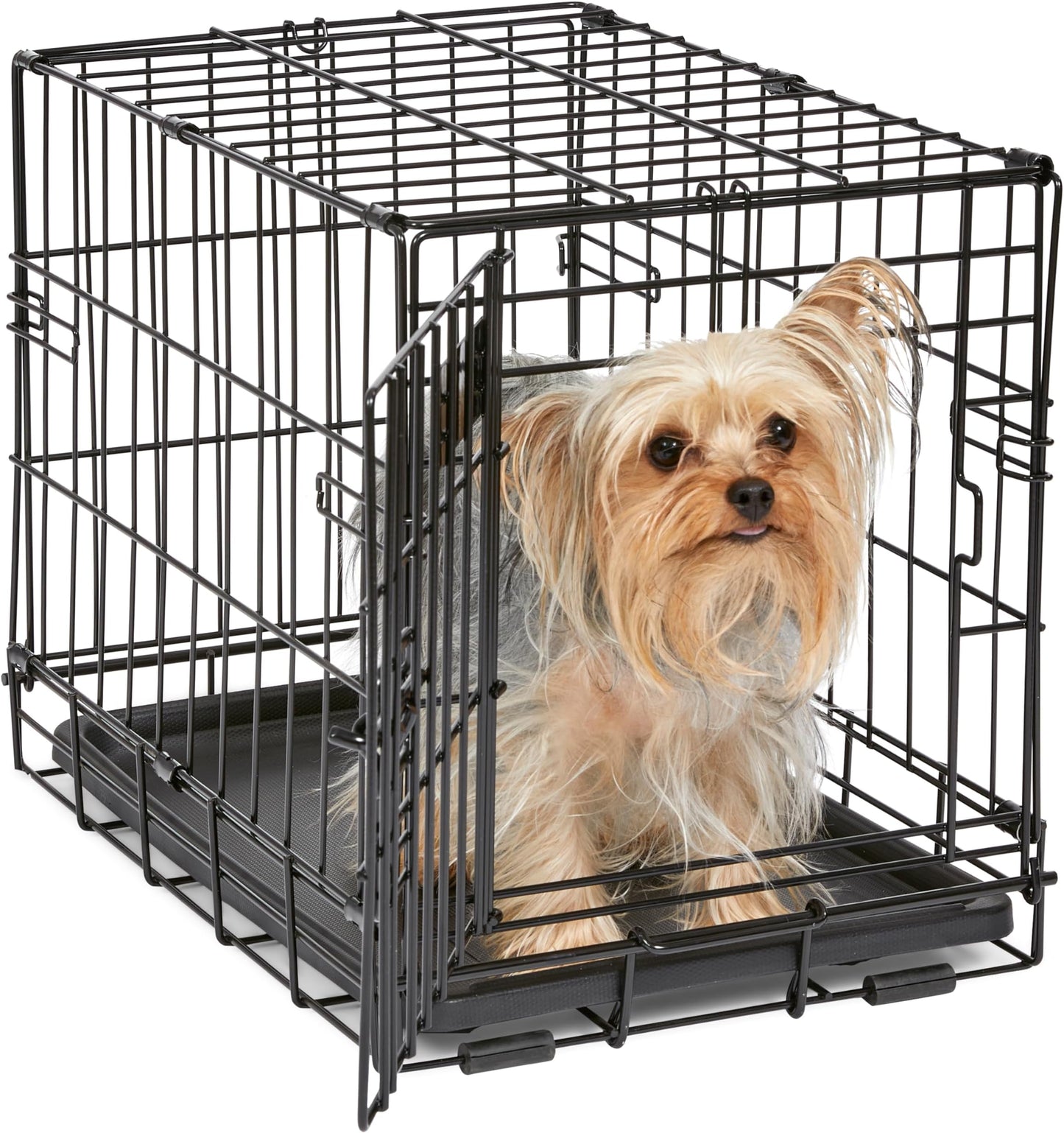 MidWest Homes for Pets 18-Inch iCrate for Tiny Bre - Best Seller