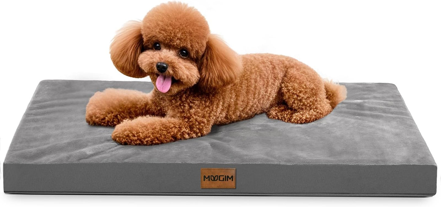MUGIM Pet Cushion, Double Sided Design, For Summer - Top Rated