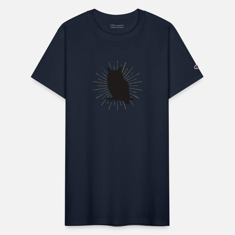 owl on the night