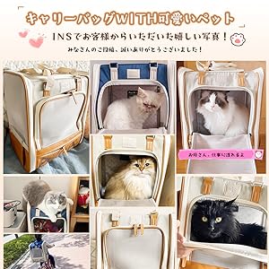 Pet Carry Bag, Cats, Dogs, Carrying Bag Backpack, - Latest Style