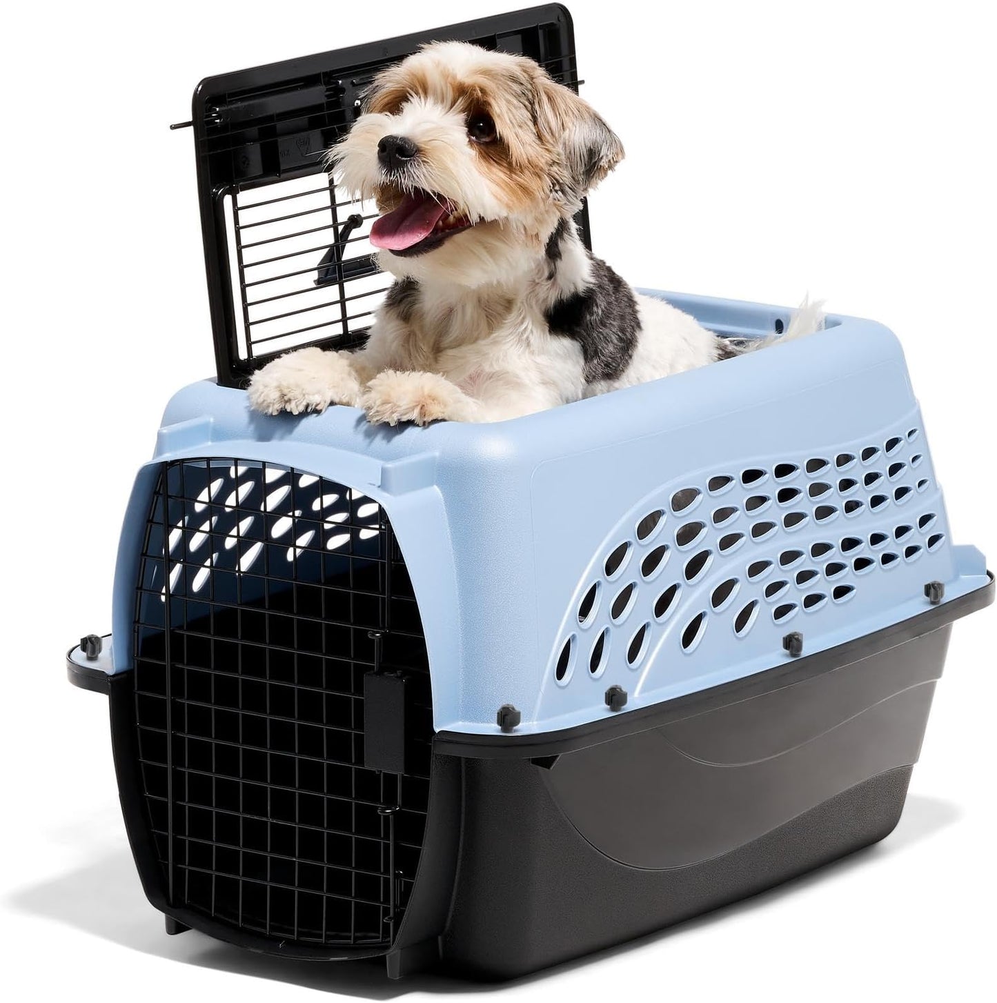 Petmate Dog Crates for Small Dogs & Cat Carriers, - Best Seller