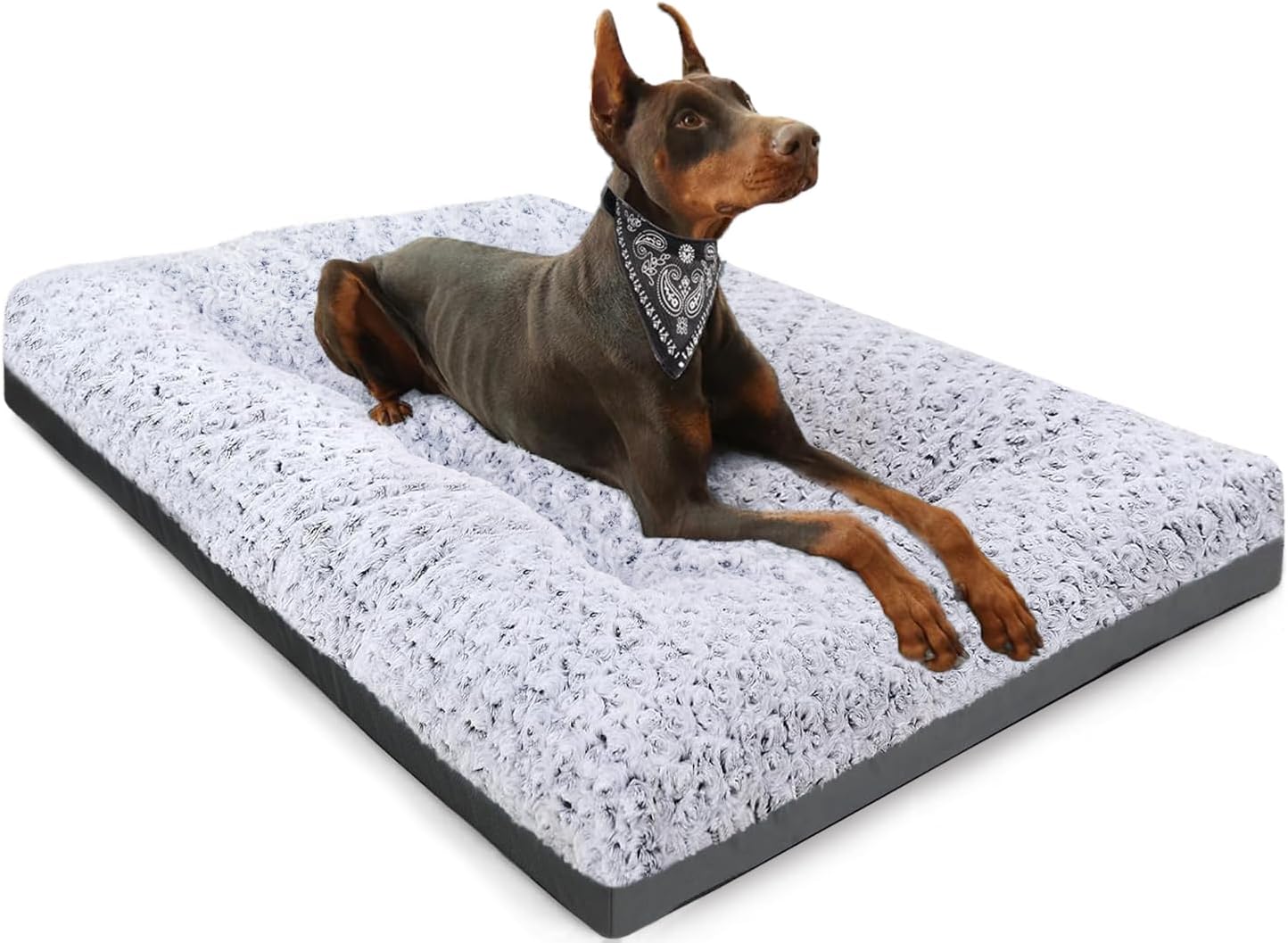 POCBLUE Deluxe Washable Dog Bed for Large Dogs Dog - Top Rated