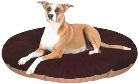 Polyester Pet Bed Dog And Cat Gaddi Soft And Cozy - Latest Style