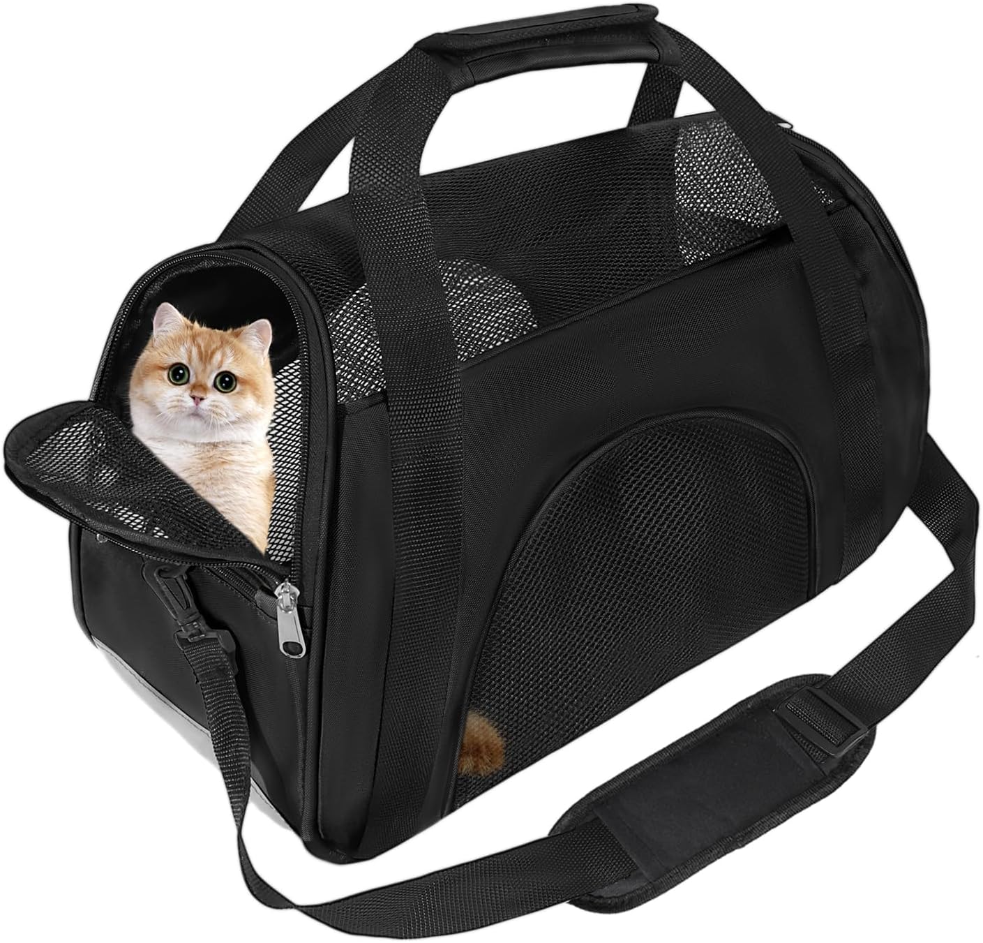 Soft Sided Portable Cat Carrier, Foldable Pet Trav - Top Rated
