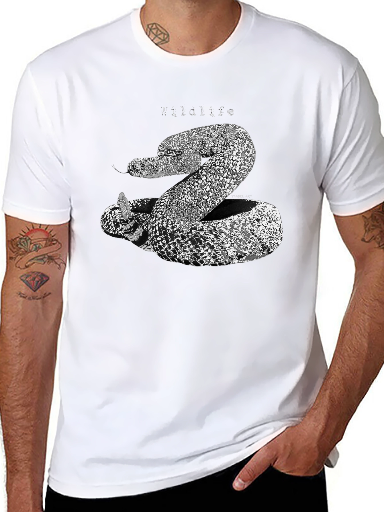 Wildlife Snake Graphic Print Black T-Shirt