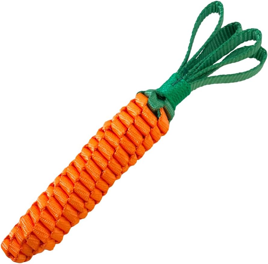 【LOVE PETS by BESTEVER】 Love Pets by Bestever Pet Toy Tough Toy Carrot M Carrot M 47192
