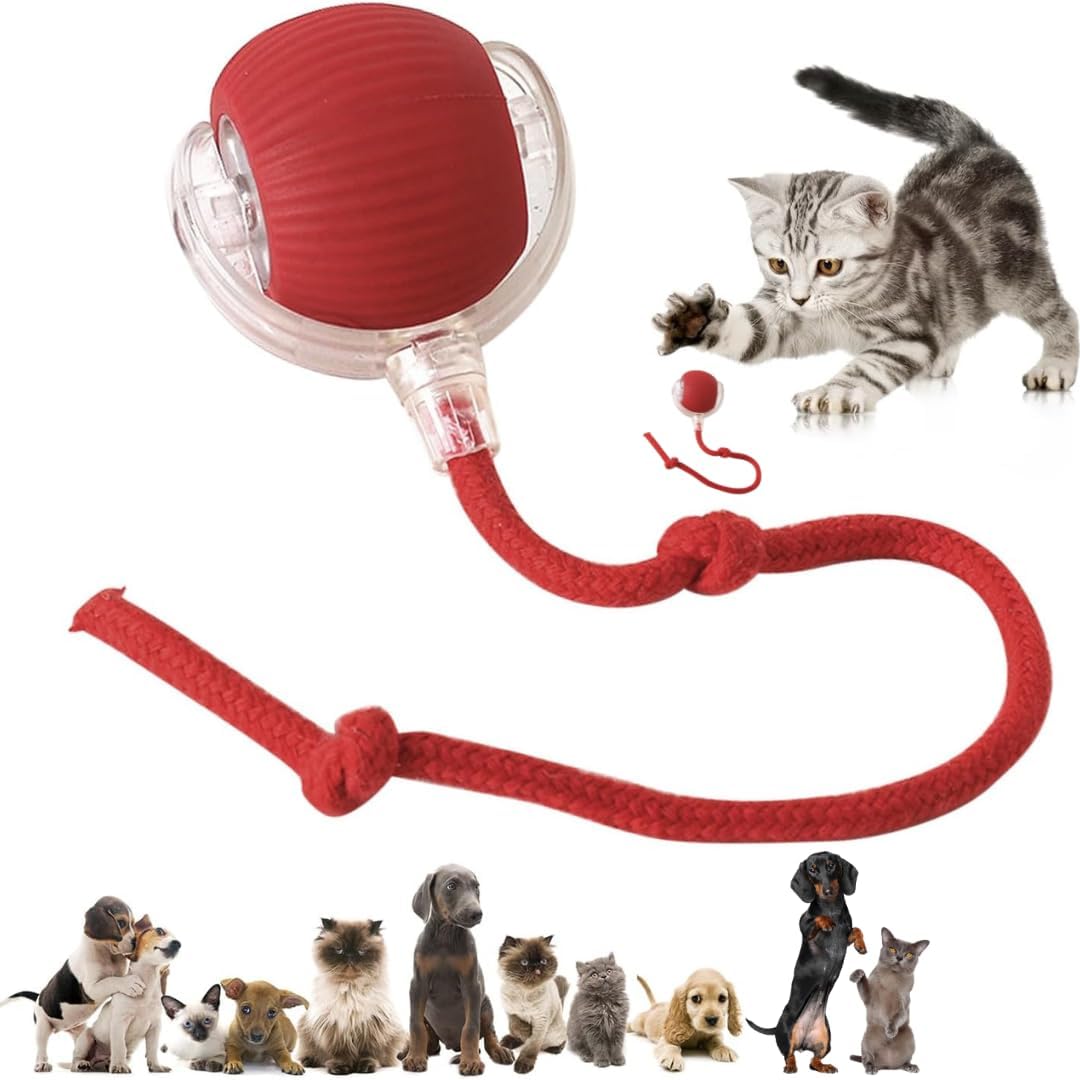 Interactive Electric Automatic Rolling Moving Rechargeable Self Play Stimulation Toy,Smart Pet Chase Ball With Speedy Tail Rope For Bored Indoor Cats Enrichment(Red)