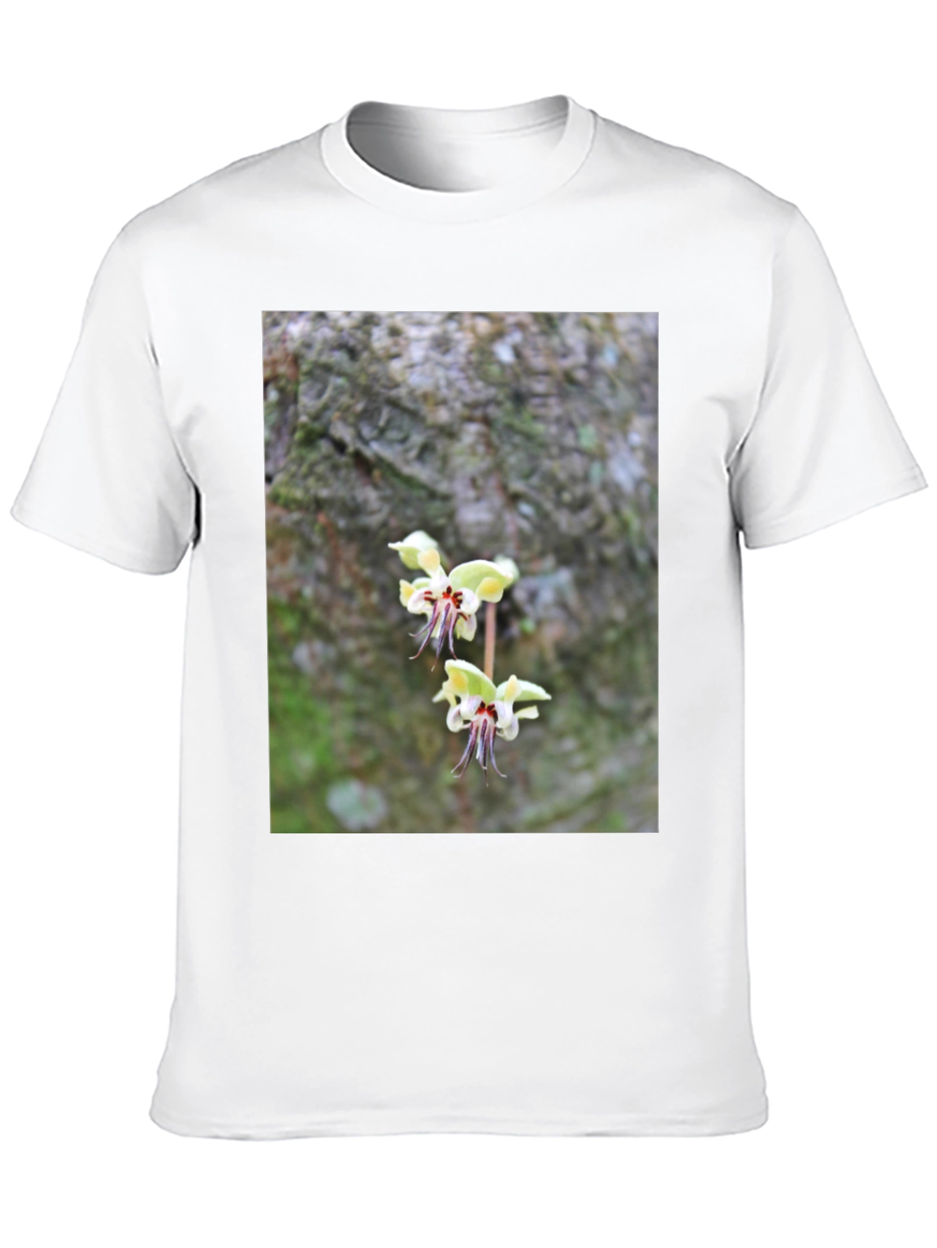Botanical Black T-Shirt