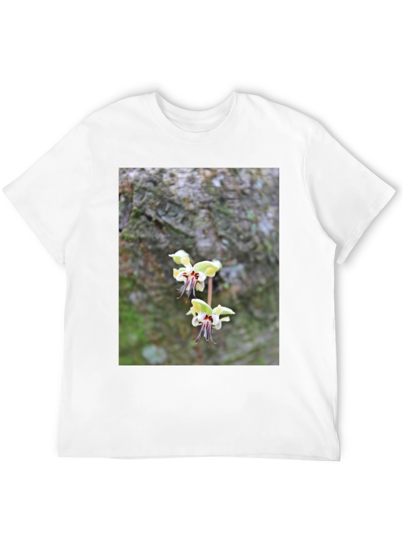 Botanical Black T-Shirt