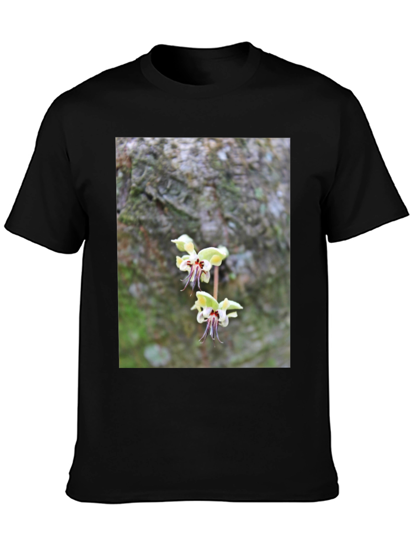 Botanical Black T-Shirt