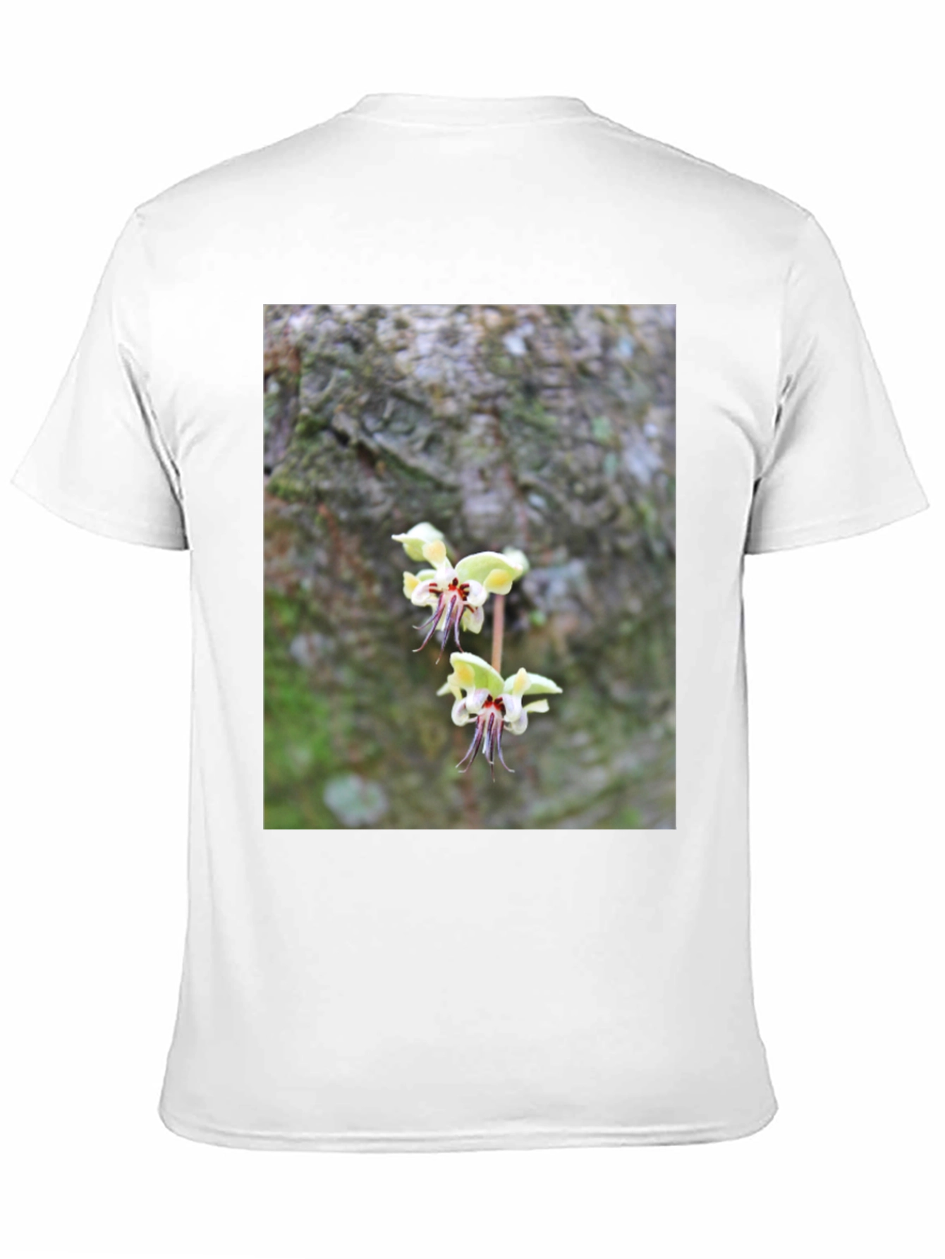 Botanical Black T-Shirt
