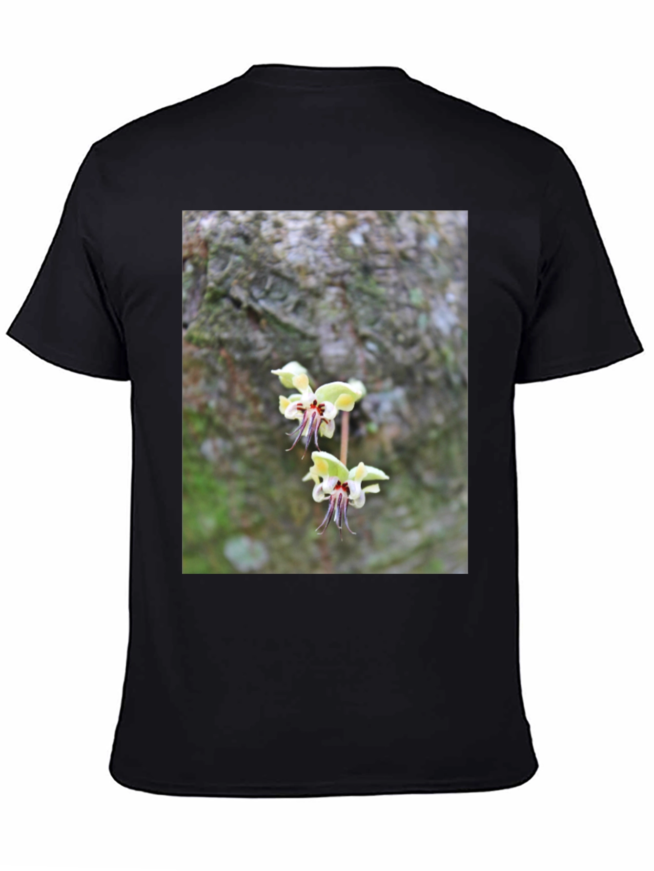 Botanical Black T-Shirt