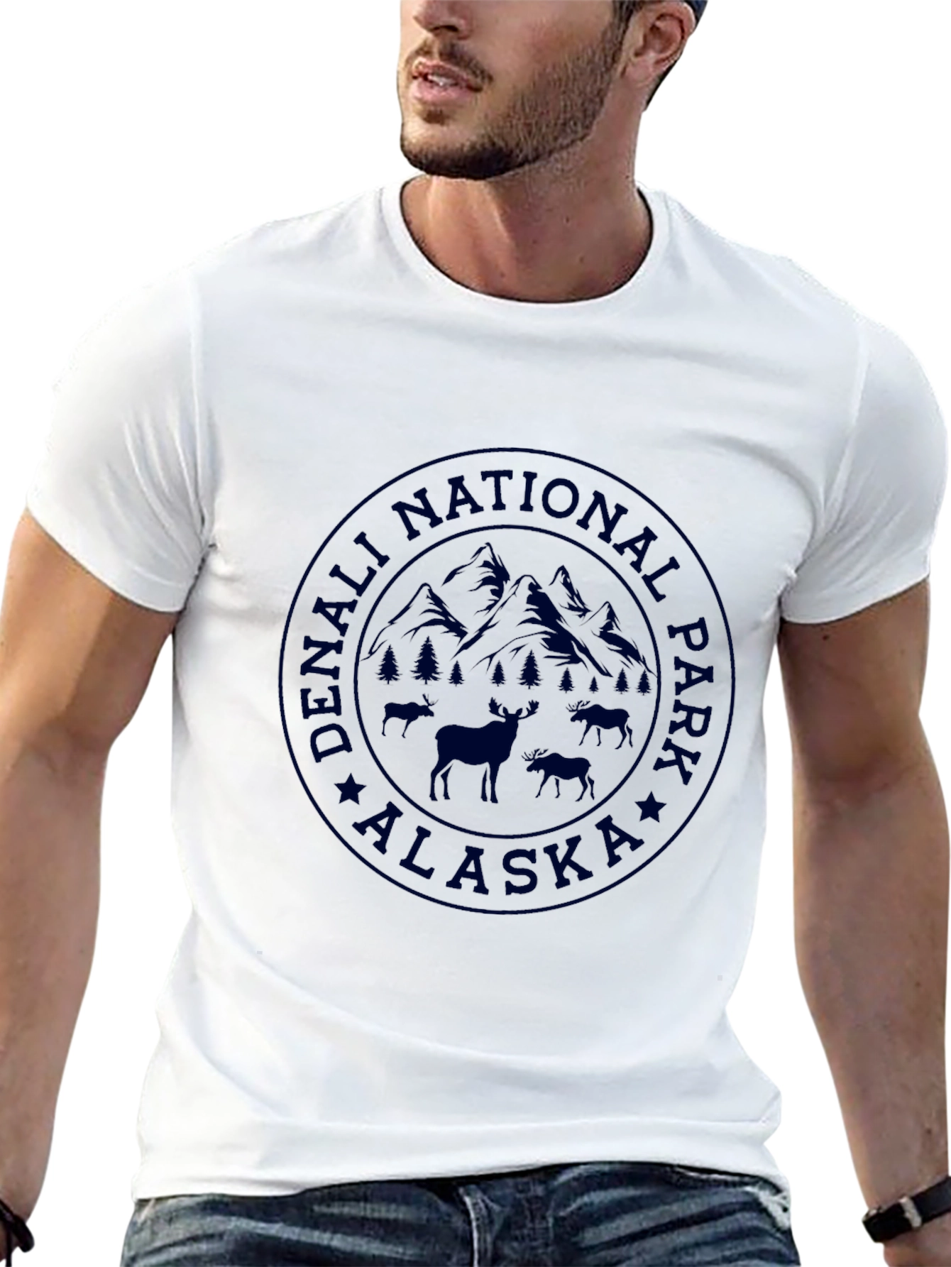 Denali National Park Alaska Graphic T-Shirt