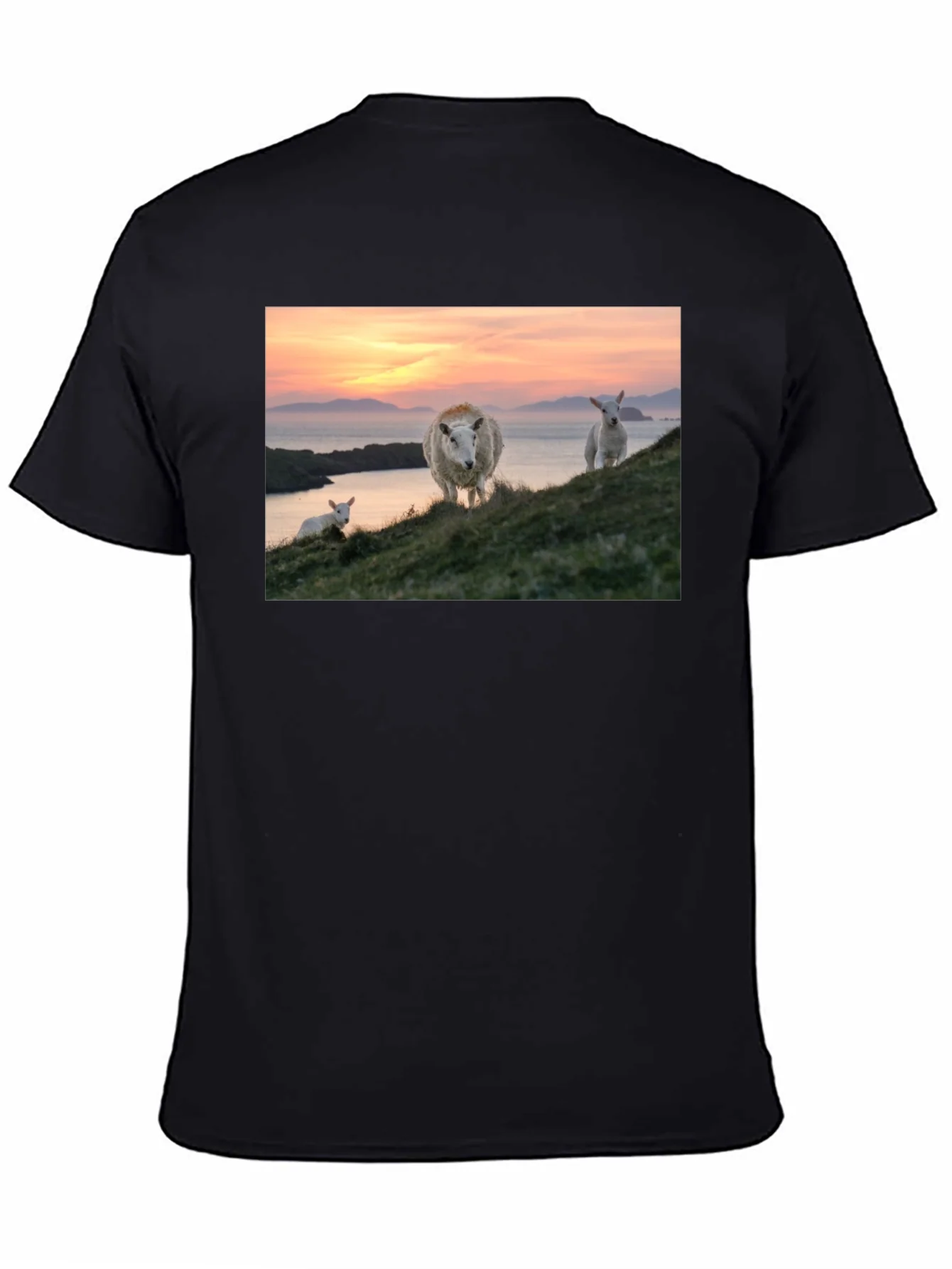 Scenic Sheep Graphic Tee - Black Cotton Blend