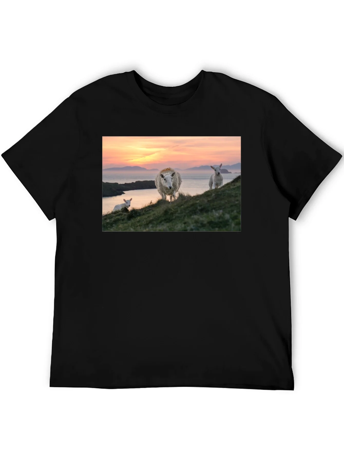 Scenic Sheep Graphic Tee - Black Cotton Blend