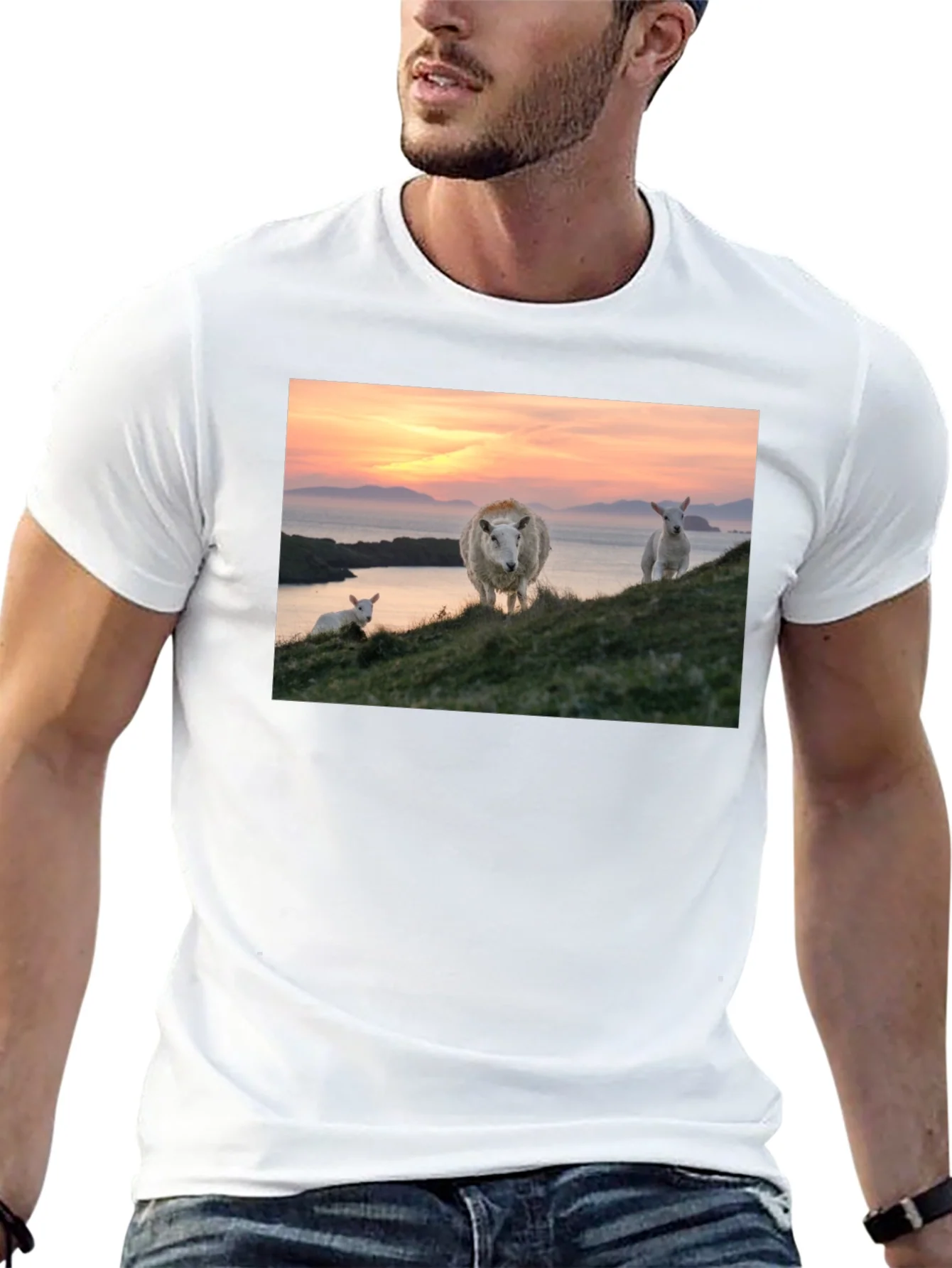 Scenic Sheep Graphic Tee - Black Cotton Blend
