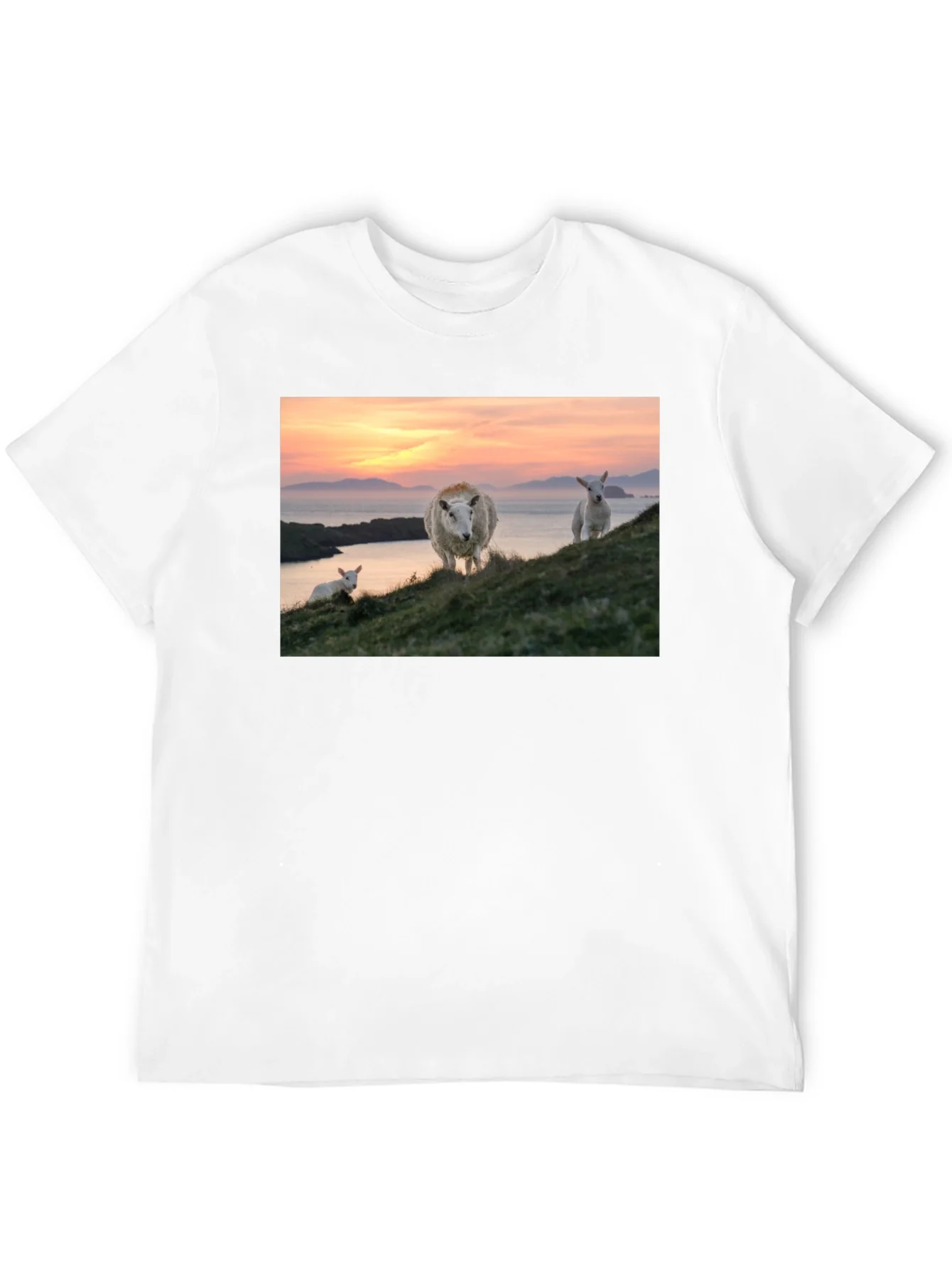 Scenic Sheep Graphic Tee - Black Cotton Blend