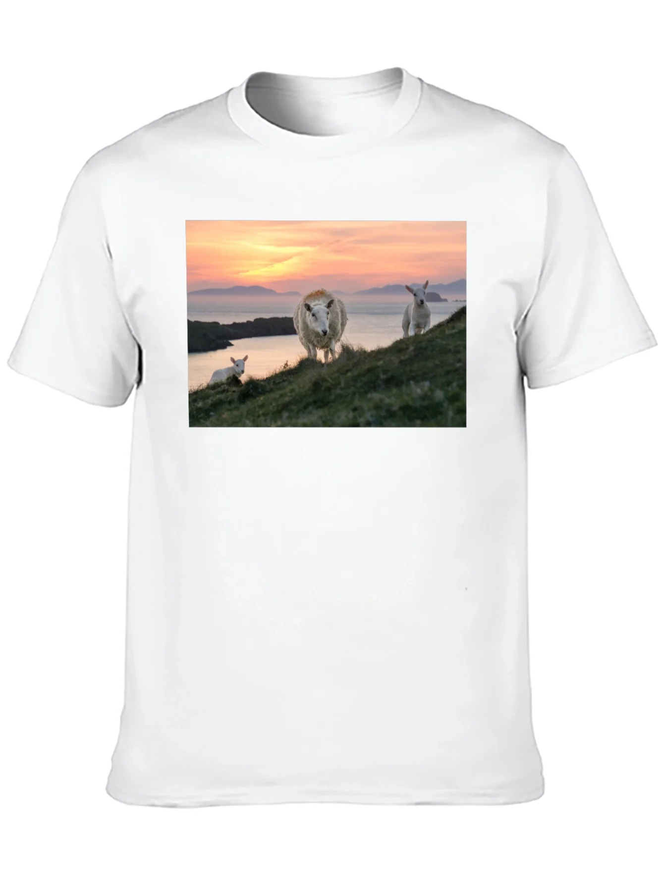 Scenic Sheep Graphic Tee - Black Cotton Blend