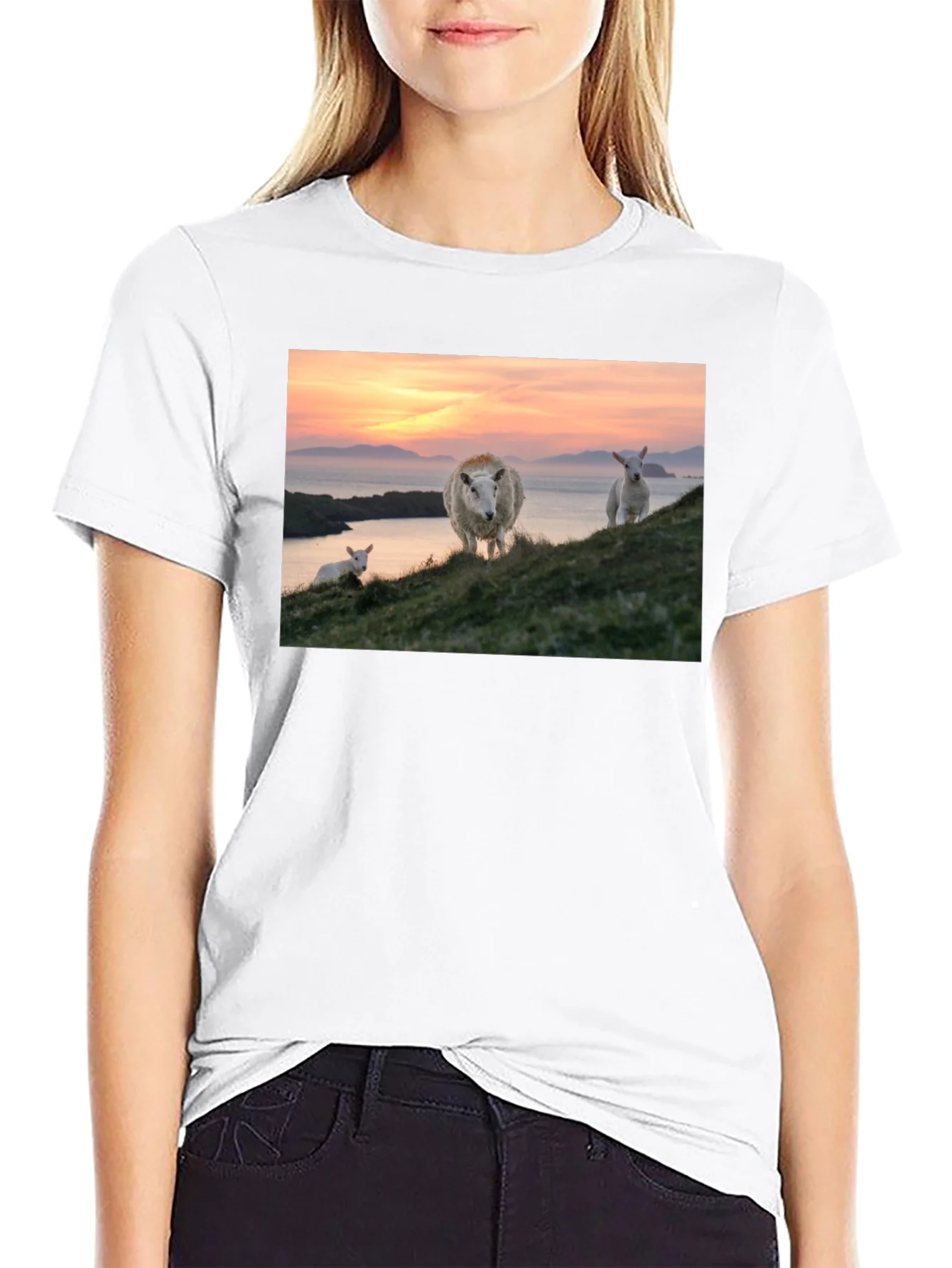 Scenic Sheep Graphic Tee - Black Cotton Blend