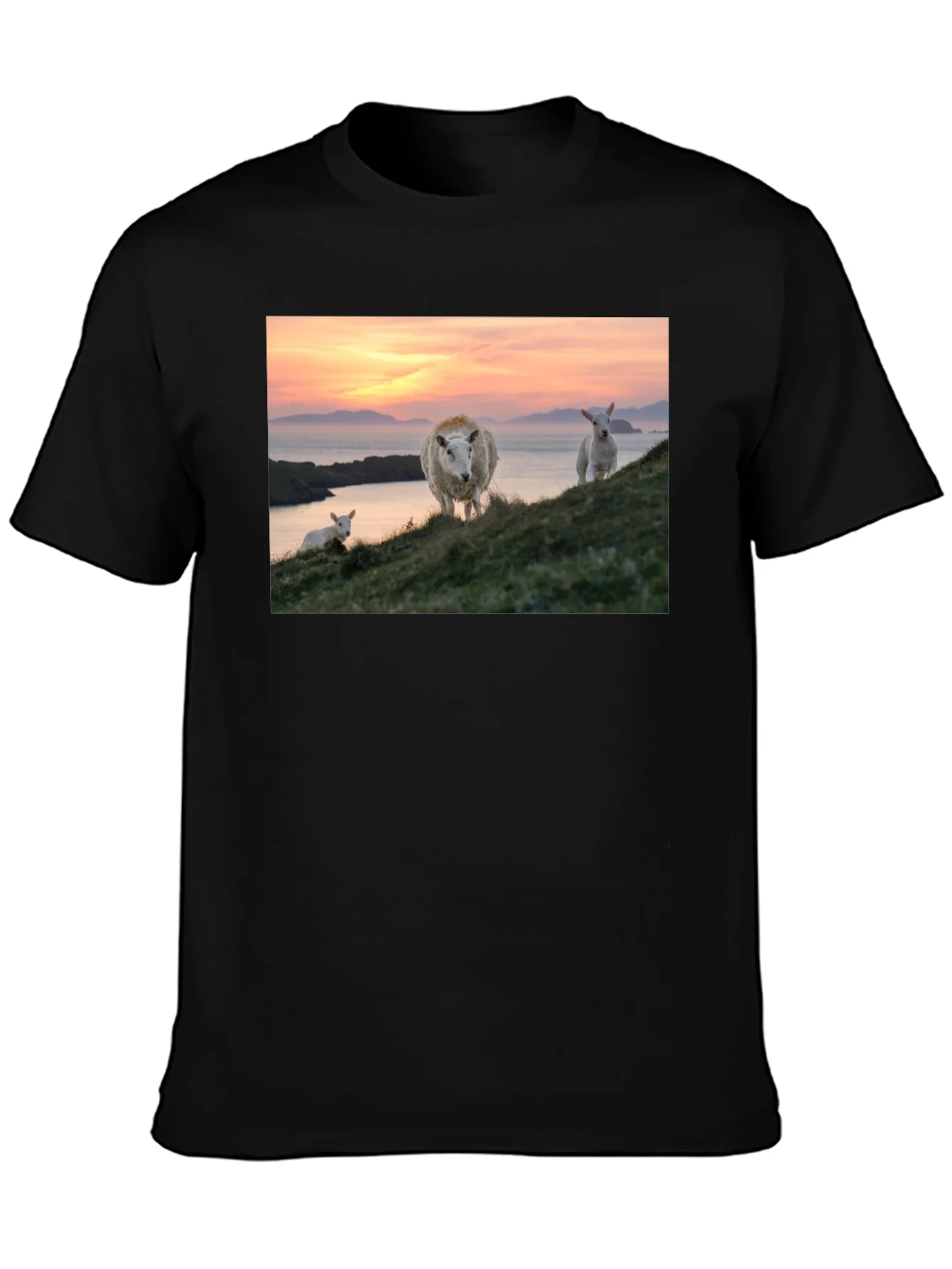 Scenic Sheep Graphic Tee - Black Cotton Blend