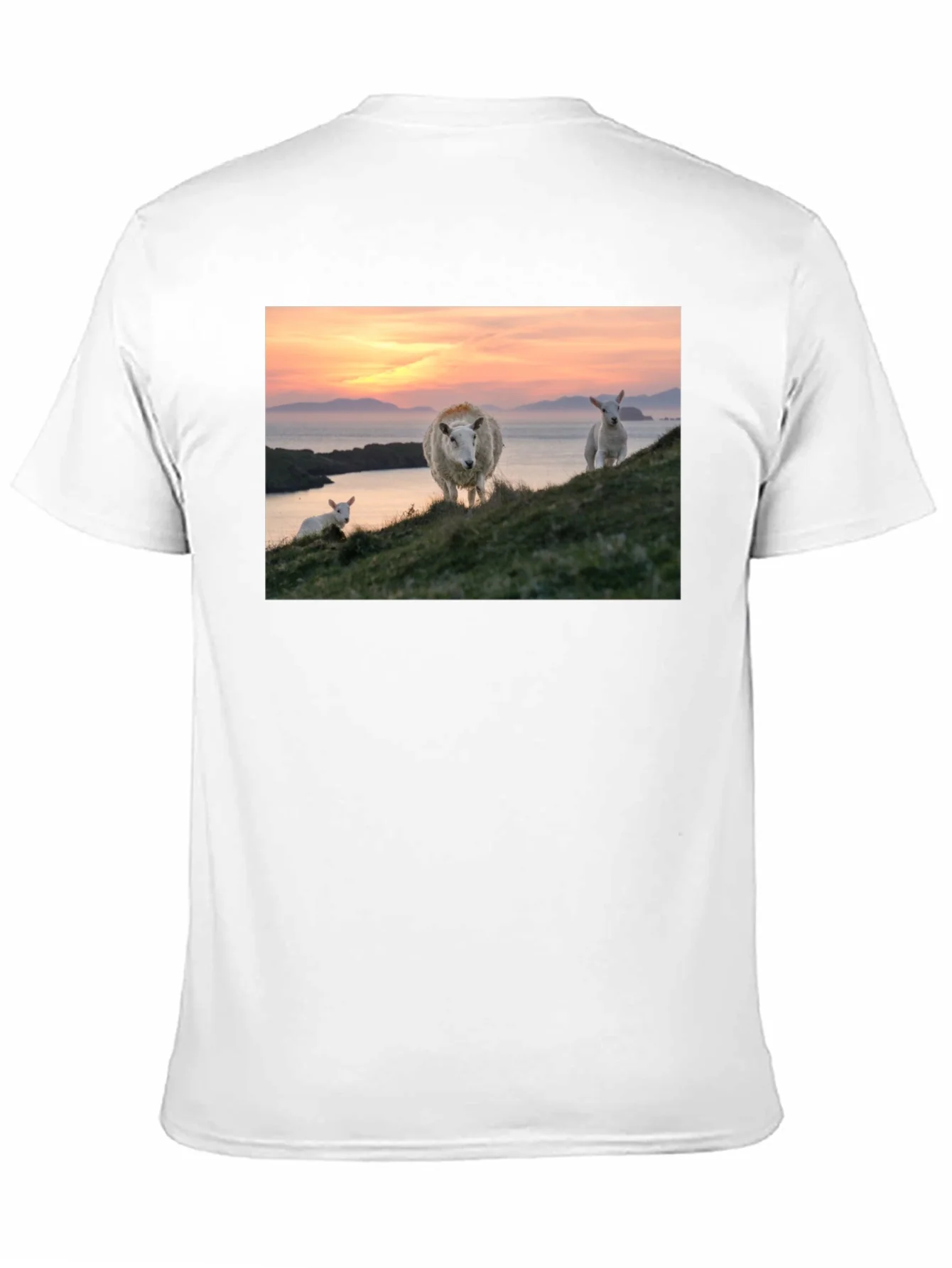 Scenic Sheep Graphic Tee - Black Cotton Blend