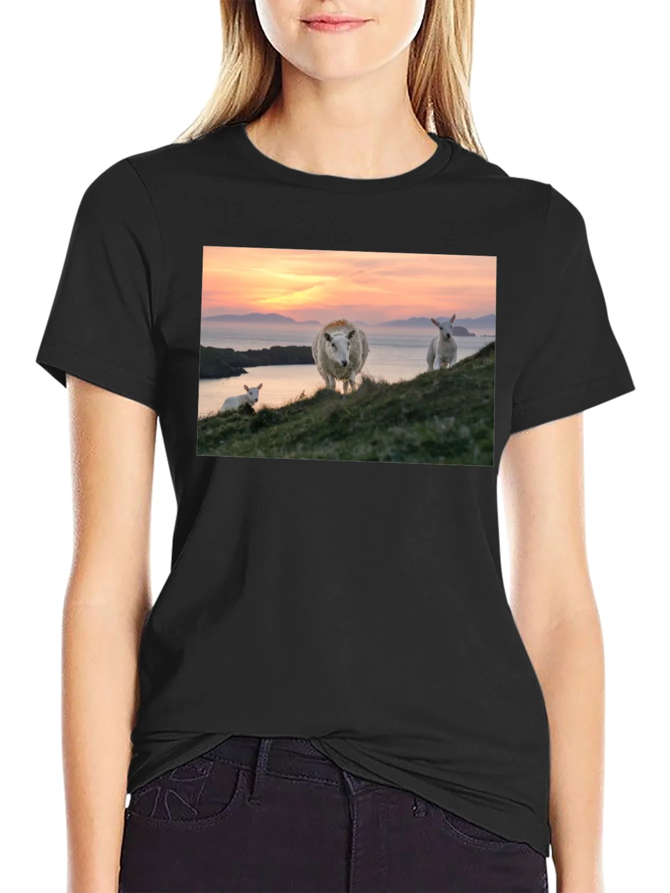 Scenic Sheep Graphic Tee - Black Cotton Blend
