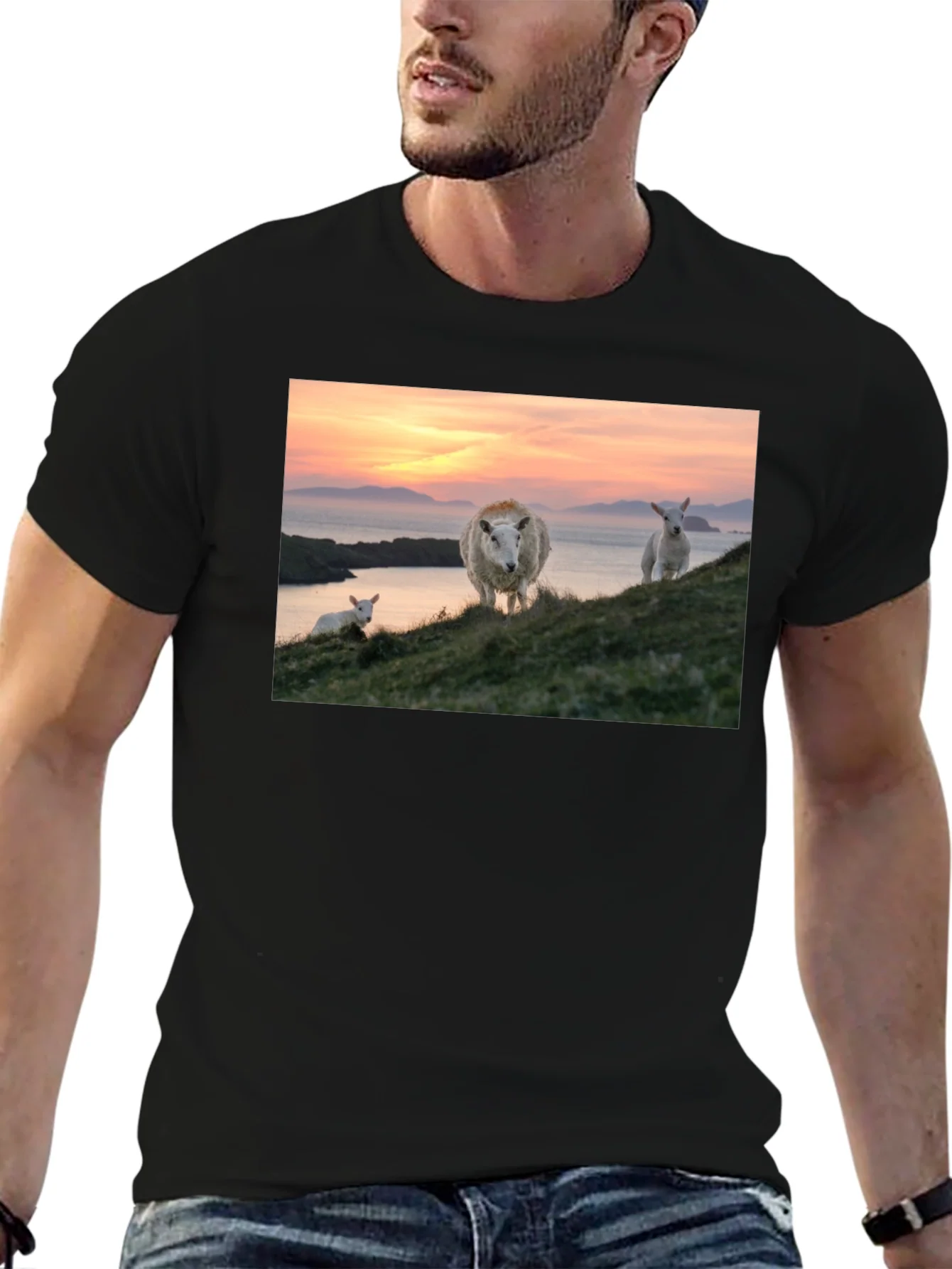 Scenic Sheep Graphic Tee - Black Cotton Blend