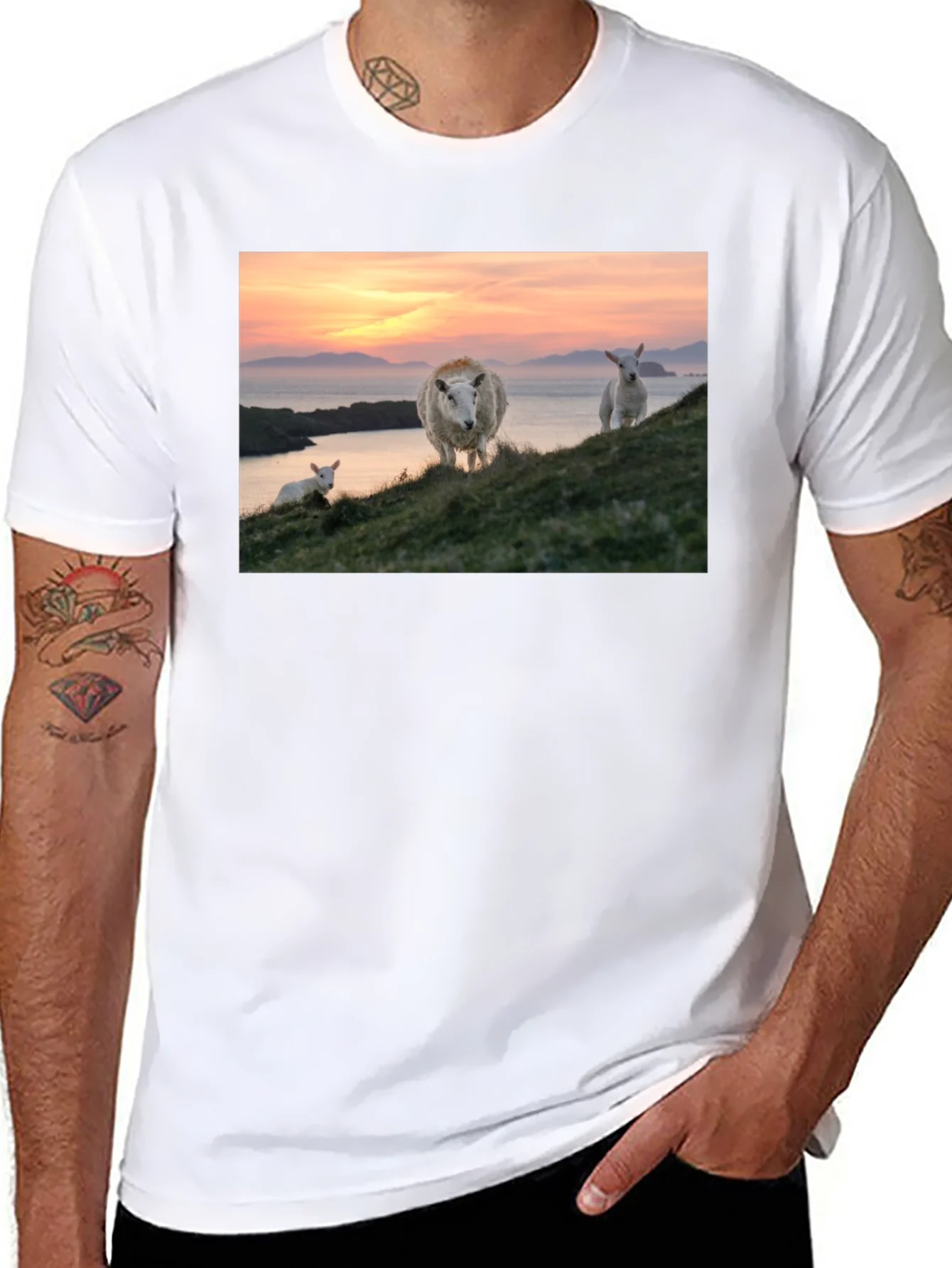 Scenic Sheep Graphic Tee - Black Cotton Blend