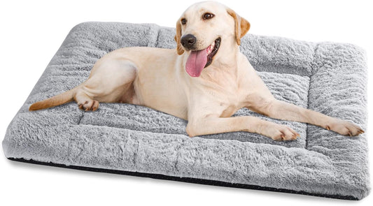 Baodan Dog Bed Large Washable, Pet Cat Beds Cushio - Premium Quality