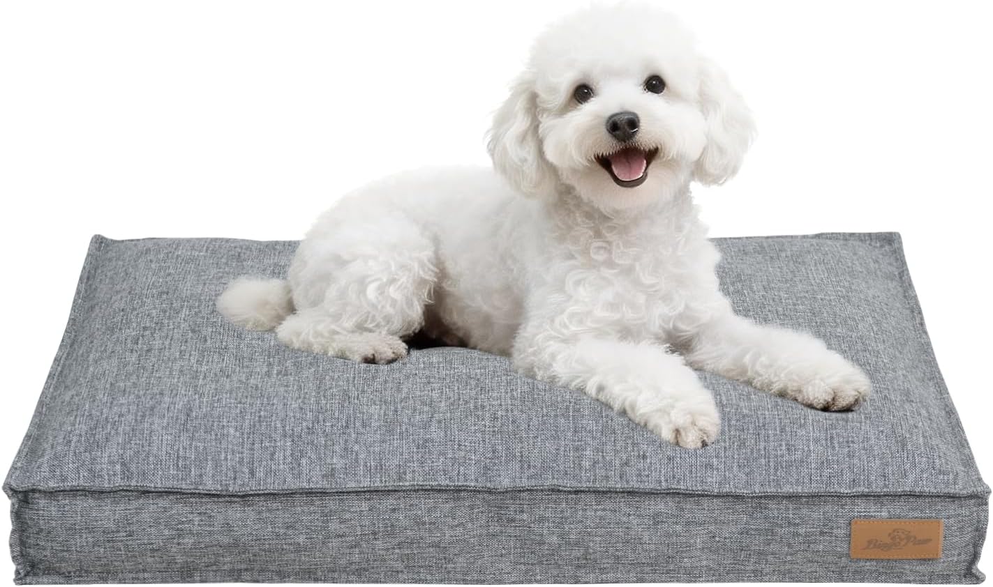 BingoPaw Dog Bed, Cats, Pet Bed, Pet Cushion, For  - Latest Style