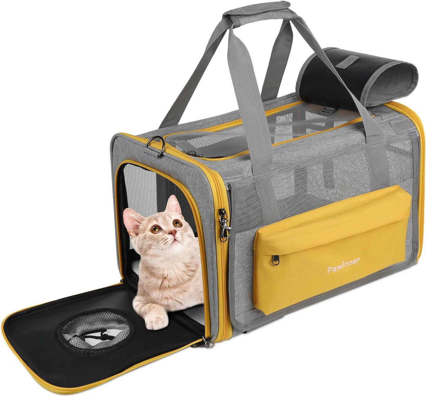 Cat Pet Carrier, For Small and Medium Cats, Small  - Latest Style