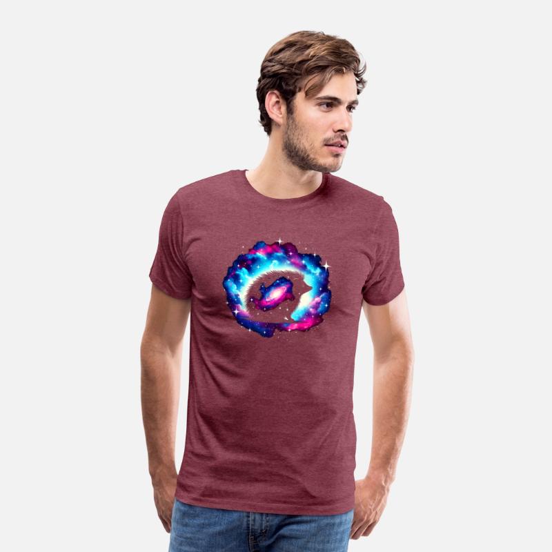 Cool Hedgehog Galaxy Space Art