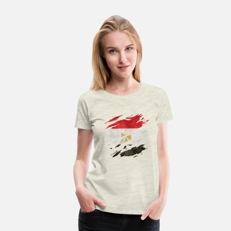 Egypt - national flag, scratches, cracks