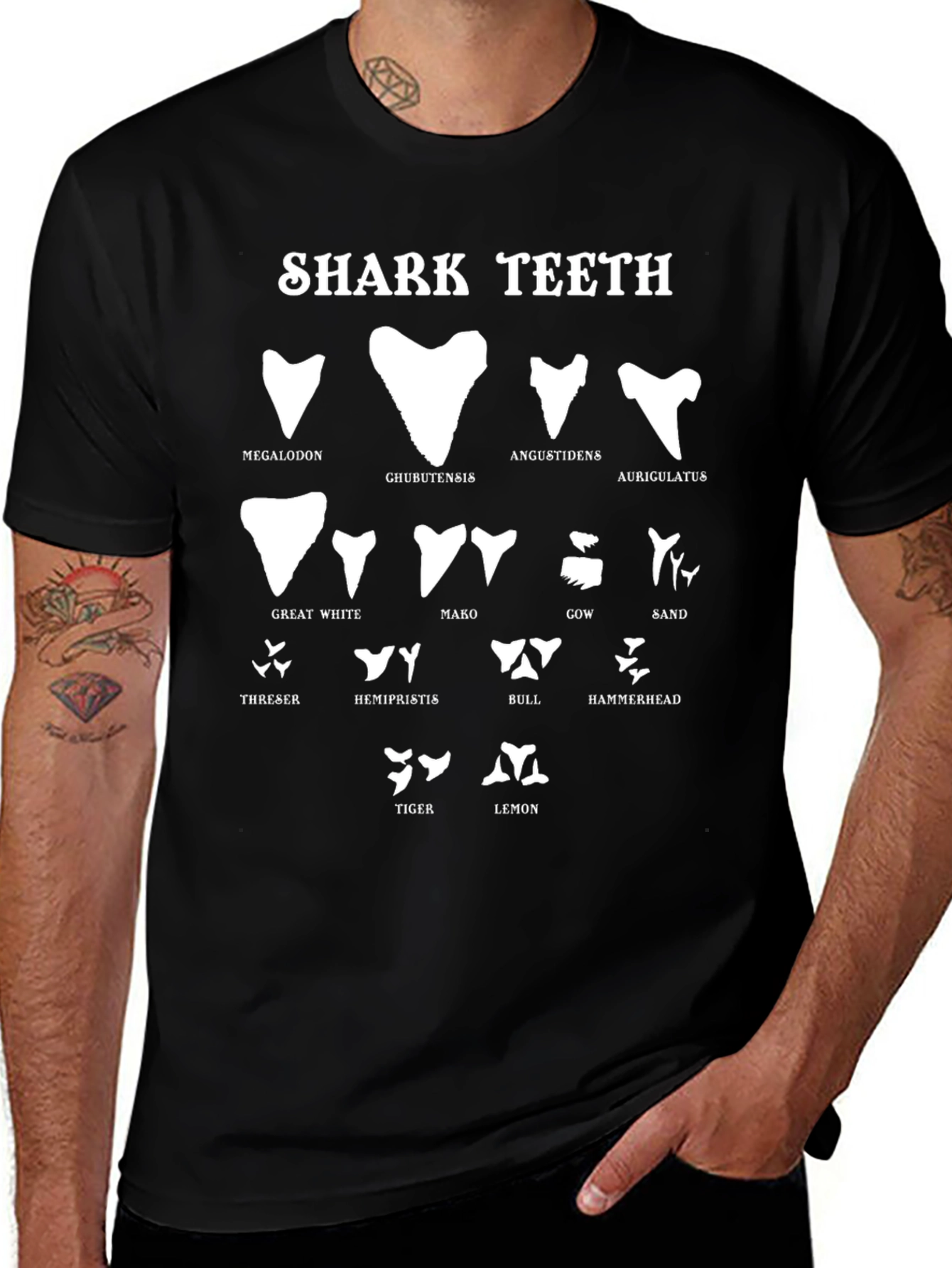 Shark Teeth Species Black T-Shirt