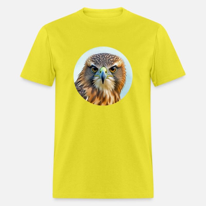 Hawk stare regal bird of prey birding bird watcher