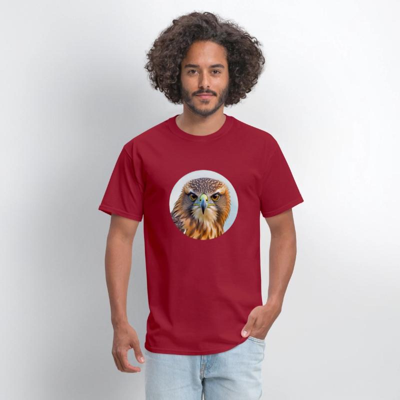 Hawk stare regal bird of prey birding bird watcher