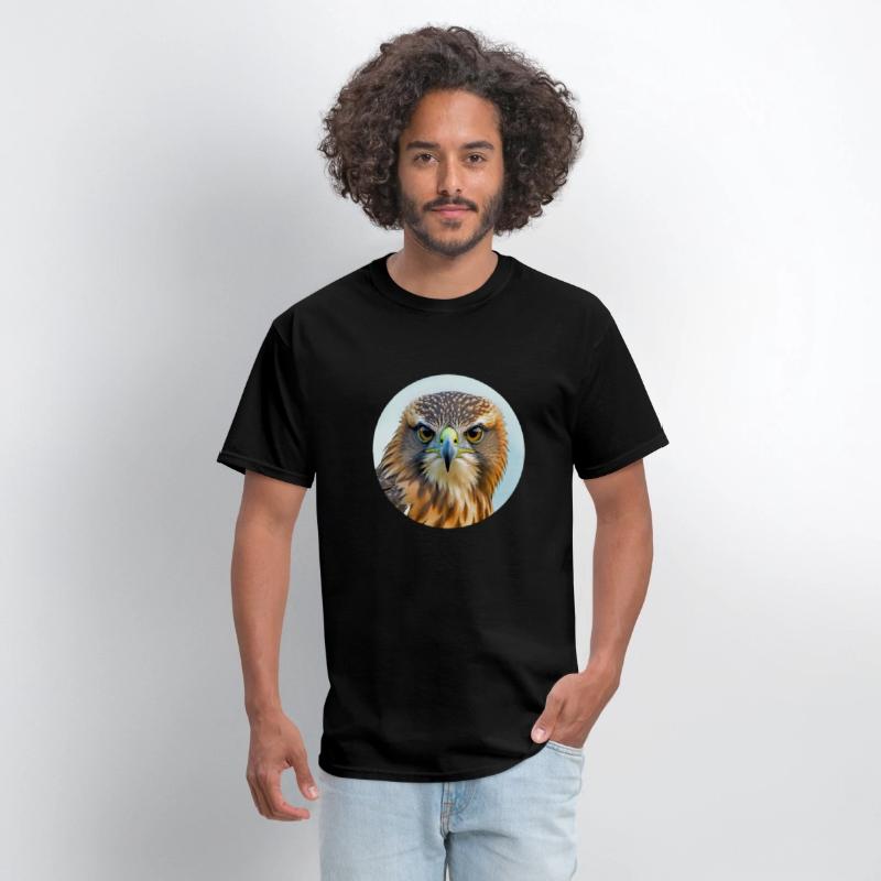 Hawk stare regal bird of prey birding bird watcher