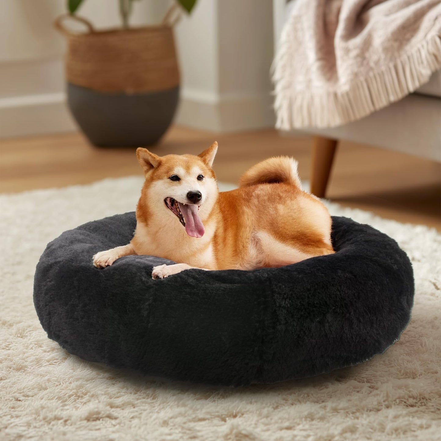 Jema Dog Bed and Cat Bed, For Autumn and Winter, F - Premium Quality
