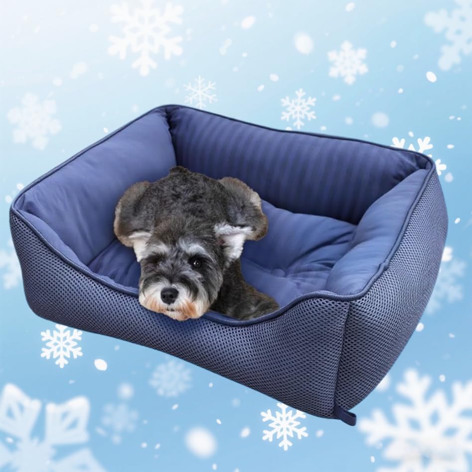 LIFERISE Pet Bed, For Summer Dogs and Cats, Superv - Latest Style