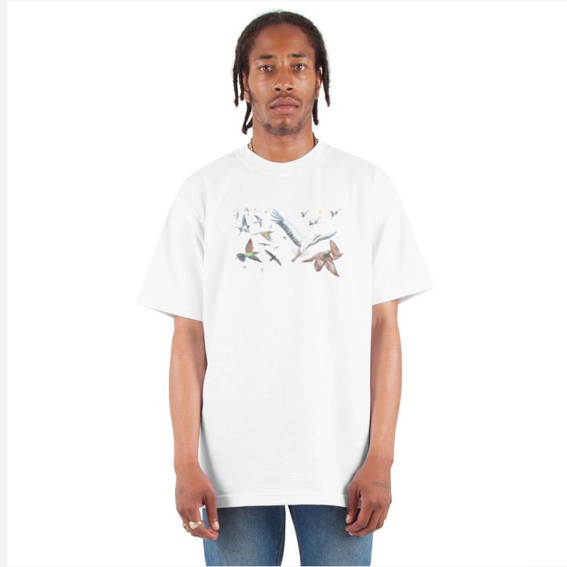 Migratory Birds Flying Illustration